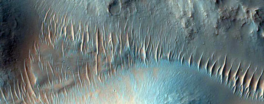 Trầm tích và những vân ngang của 1 nhánh sông ở Nirgal Vallis (Ảnh: NASA/JPL/ĐH Arizona)