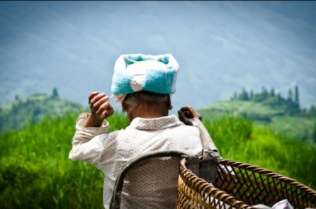 Bạn có thể làm theo những người sống thọ nhất thế giới này không?