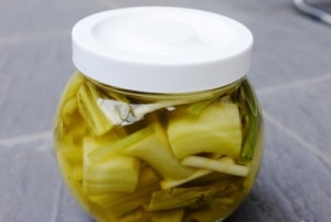 dua cai 1