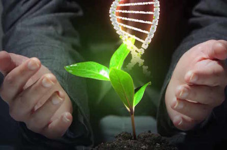 DNA: Mật mã nhỏ xíu đang lật đổ thuyết tiến hóa