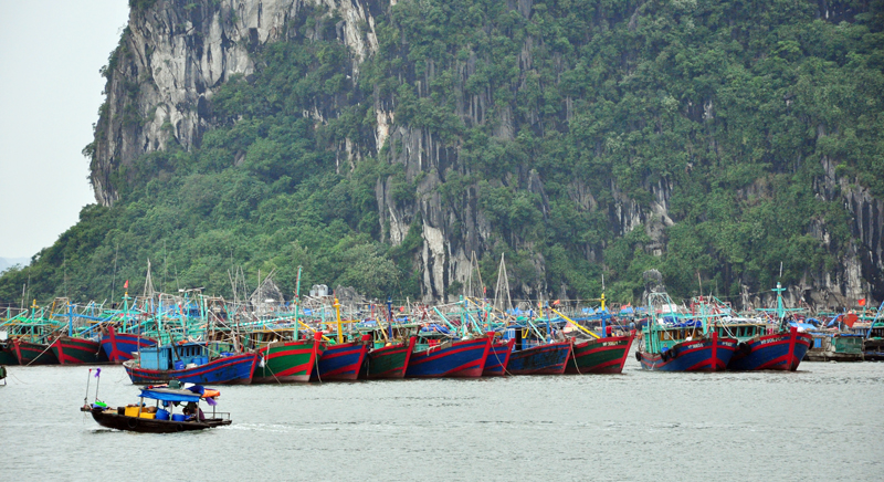 tau thuyen tranh tru bao so 3 tai quang ninh