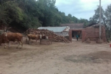 Thảm cảnh rúng động Trung Quốc: Cả gia đình 6 người chết vì bần cùng