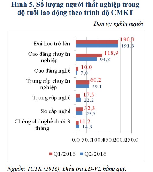 Người có trình độ cao đẳng chuyên nghiệp, đại học trở lên luôn có tỷ lệ thất nghiệp cao nhất trong biểu đồ thống kê.