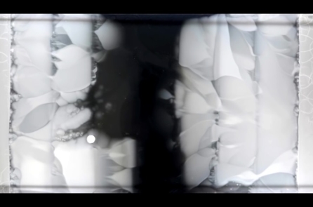 Video thí nghiệm: Vi khuẩn phát triển thành siêu vi khuẩn chỉ trong 11 ngày