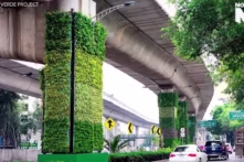 Mexico: Vườn cây thẳng đứng biến bê tông xám xịt thành những mảng xanh