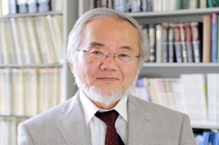 Giải Nobel Y học 2016: Cơ chế ’tự thực’ của cơ thể