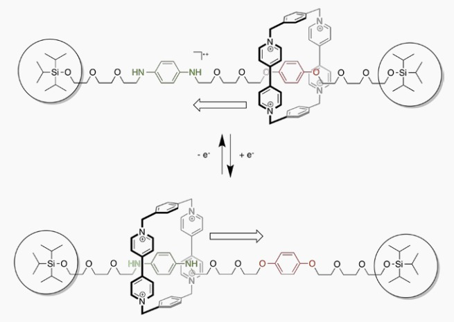 electron-chuyen-dong