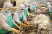 EU cảnh báo thủy sản Việt Nam nhiễm kim loại nặng