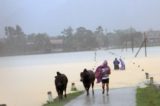 lu lut ha tinh quang binh 2