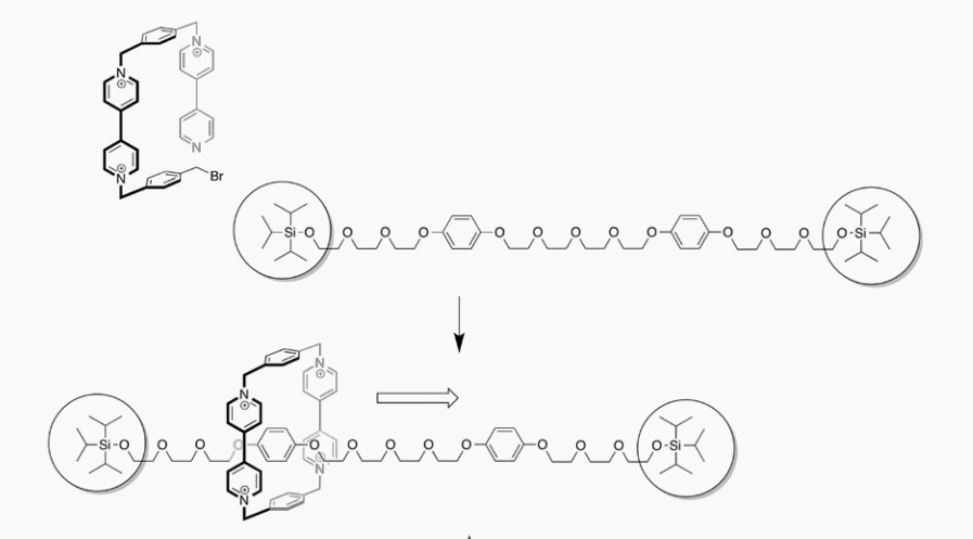 vong-nano