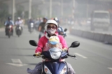 Ô nhiễm không khí ảnh hưởng đến trí não của trẻ, cha mẹ có thể làm gì?