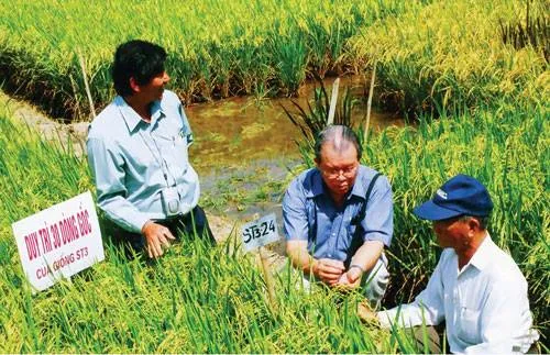 Nhà nông học Võ Tòng Xuân cùng kỹ sư "vua lai tạo giống" Hồ Quang Cua đi học Campuchia làm lúa nước.