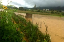 Lâm Đồng: Sản xuất nông nghiệp tan hoang sau mưa lũ