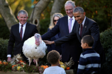 Tổng thống Obama ‘ân xá gà tây’
