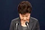 park geun hye say sorry SHJE