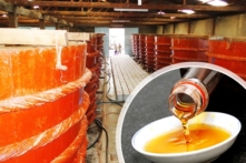 T&A Ogilvy tài trợ cho Vinastas khảo sát về nước mắm