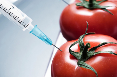 Cựu chuyên gia từng ủng hộ thực phẩm biến đổi gen: GMO nguy hiểm như thế nào?