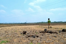 UNICEF hỗ trợ 30.000 người dân trong hạn hán và xâm nhập mặn