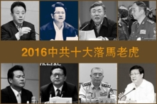 10 quan to Trung Quốc “ngã ngựa” trong năm 2016