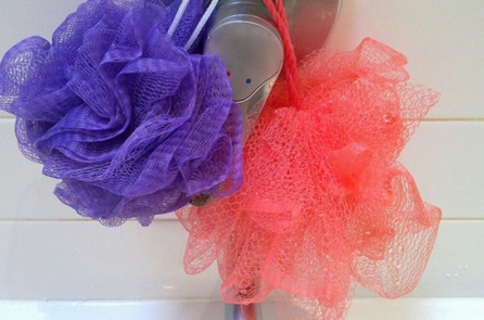 Vì sao bạn nên thay ngay lập tức miếng bông tắm đang sử dụng?