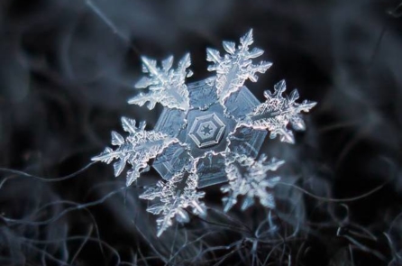20+ hình ảnh macro cho thấy “cấu trúc hoàn hảo” của những bông tuyết