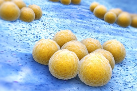 EDCD cảnh báo: Hàng phòng thủ kháng sinh cuối cùng đang bắt đầu tan rã