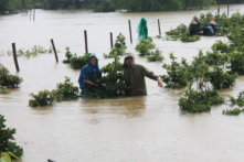 Hỗ trợ thiệt hại ‘nhập nhằng’, người dân khiếu nại trưởng thôn