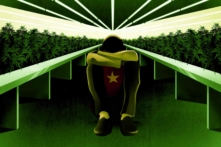3.000 trẻ em Việt Nam bị đưa sang Anh làm nô lệ