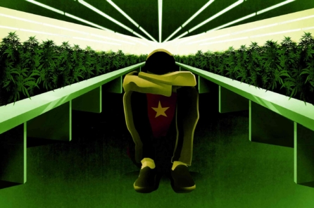 3.000 trẻ em Việt Nam bị đưa sang Anh làm nô lệ