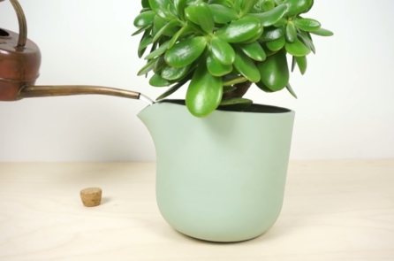 “Chậu cây thông minh” của Hà Lan sẽ báo với bạn khi cây cần tưới nước
