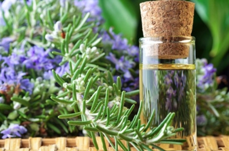 Xông nhà đón Tết với tinh dầu tự nhiên: Trừ tà khí và vô vàn lợi ích sức khỏe