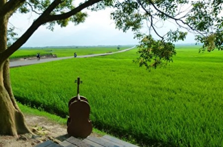 Một năm cho lúa nghe nhạc cổ điển, sản lượng lúa Trì Thượng ở Đài Loan phá kỉ lục