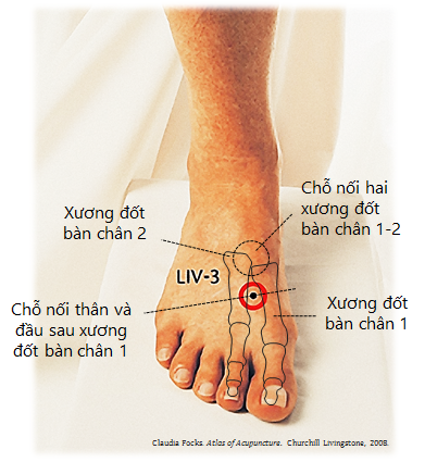 Vị trí huyệt Thái Xung