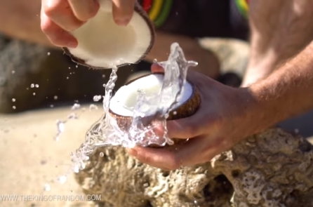 Kỹ năng sinh tồn: Cách sống sót khi bị lạc trên đảo hoang… toàn dừa