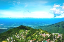 Vĩnh Phúc hủy phương án phá hơn 100ha rừng phòng hộ làm công viên nghĩa trang