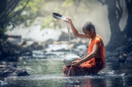 Đức Phật hữu tình hay vô tình?