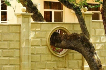 15 cách quý trọng cây cối đầy sáng tạo của con người