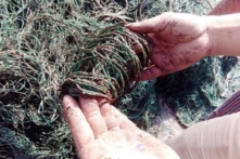 Quảng Trị: Bùn lạ bám vào lưới đánh cá, ngư dân thiệt hại nặng