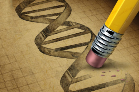 Ủy ban khoa học Mỹ bật đèn xanh cho việc chỉnh sửa bộ gen người