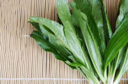 Trước khi đi mua thuốc, hãy thử dùng ngò gai