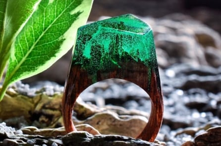 Bí ẩn của gỗ: Bộ sưu tập ‘thế giới bên trong những chiếc nhẫn’ đầy sáng tạo