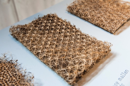 Nghệ sĩ “thuần hóa” rễ cây thành những dạng hình học tinh tế