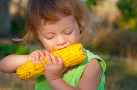 Thực phẩm biến đổi gen: Nguy cơ của một ‘thảm họa chất độc da cam’ lần 2