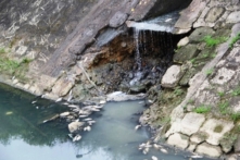 Cá chết hàng loạt trên kênh ở Đà Nẵng