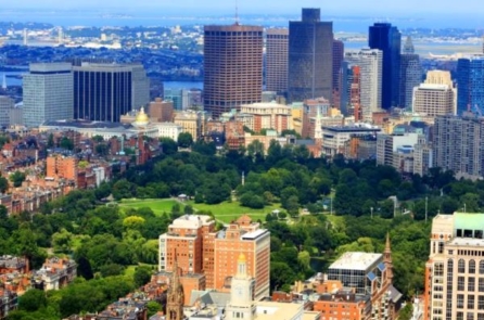 12 thành phố trồng nhiều cây xanh nhất trên thế giới