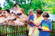 TP. Quy Nhơn sắp có công viên động vật hoang dã 130ha