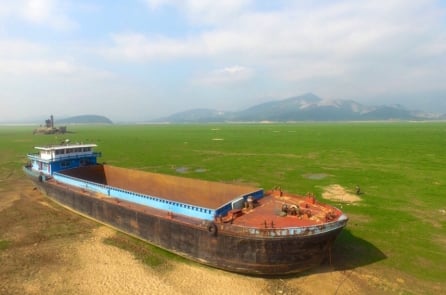 Ảnh: Hồ nước ngọt lớn nhất Trung Quốc đang biến thành đồng cỏ