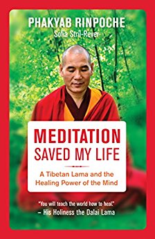 Cuốn sách: Meditation saved my life