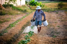 Mở rộng đối tượng và phạm vi được miễn thuế sử dụng đất nông nghiệp