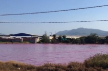 Bà Rịa – Vũng Tàu: Nước hồ điều tiết lũ 10ha chuyển màu hồng, ô nhiễm nghiêm trọng